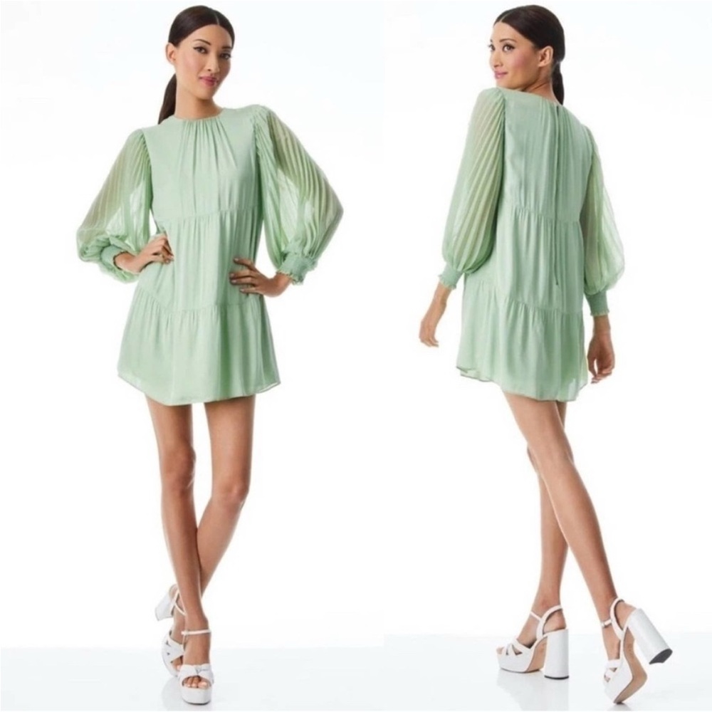 Alice + Olivia Sheer Dress - Picture 5 of 8